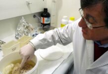 Fallece Ricardo Insausti, primer catedrático de medicina de la UCLM y figura de la investigación sobre alzhéimer