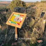 La Ruta de la Fuente del Caño: Un recorrido por el corazón del Campo de Calatrava