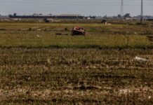 Abonado un pago de 5,1 millones a 623 agricultores de Cuenca, Albacete, Valencia y Almería afectados por la dana