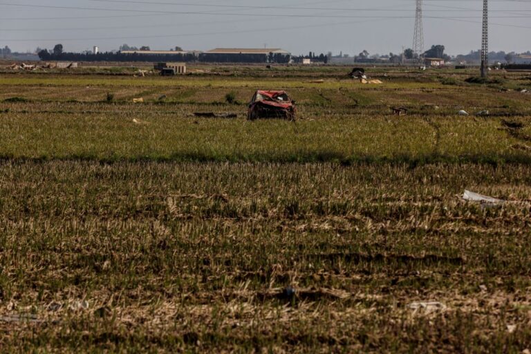 Abonado un pago de 5,1 millones a 623 agricultores de Cuenca, Albacete, Valencia y Almería afectados por la dana