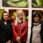 ‘Pequeños paisajes’, fotografía macro para descubrir la belleza de lo “invisible” desde Manzanares