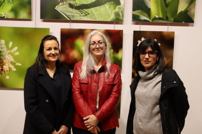‘Pequeños paisajes’, fotografía macro para descubrir la belleza de lo “invisible” desde Manzanares