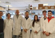 Un equipo de investigación de la UCLM y el CSIC demuestra que un nuevo antitumoral potencia el efecto de la radioterapia