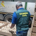 Dos detenidos tras una estafa vinculada a la compra de ajos en Cuenca