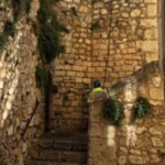 Multas de 1.500 euros por hacer grafitis en Cuenca