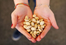 La patronal y los productores de pistacho pondrán en marcha la Lonja del Pistacho de C-LM en julio