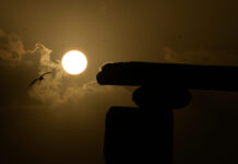 Eclipse solar: cuándo serán los próximos visibles y por qué el más espectacular no será el del 29 de marzo