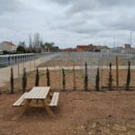 El Ayuntamiento de Manzanares abre la convocatoria para adjudicar 40 huertos urbanos ecológicos