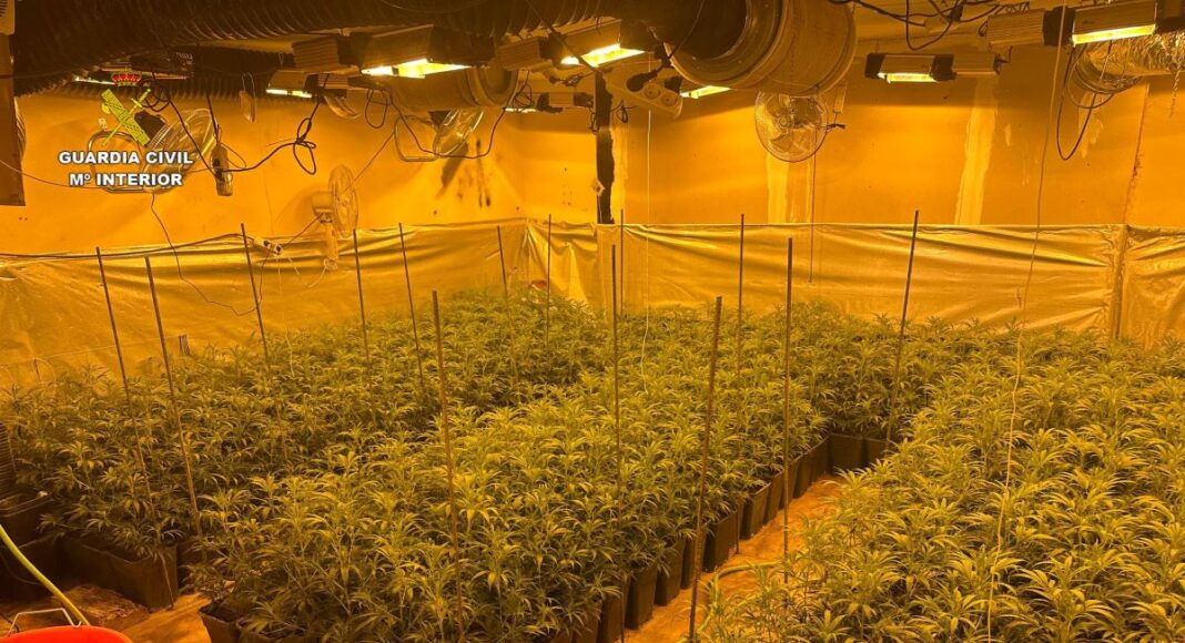 Marihuana en El Casar