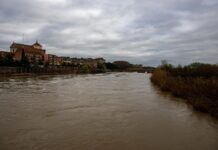 El caudal del Tajo sigue bajando en Talavera y se espera normalidad en unos días