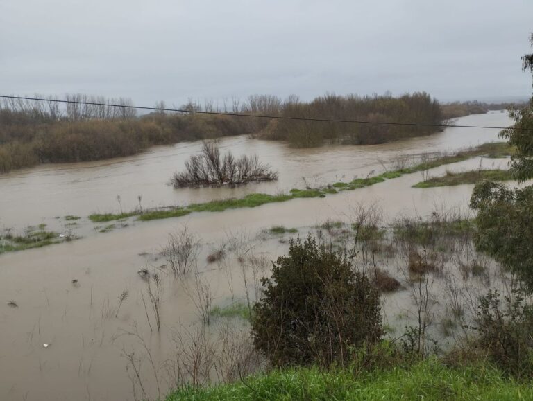 El Pricam mantiene la vigilancia en C-LM ante las previsiones meteorológicas