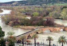 Castilla-La Mancha está en «estabilidad dentro de la emergencia» por las crecidas de los ríos