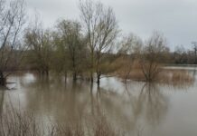Seis estaciones de aforo en C-LM se encuentran aún por encima del umbral de aviso hidrológico rojo