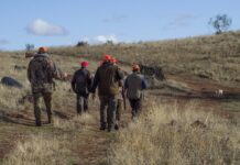 Geacam volverá a encargarse de la gestión cinegética sostenible de los cotos sociales