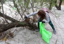 Cientos de personas se reúnen para limpiar varios puntos de las riberas del río Tajo