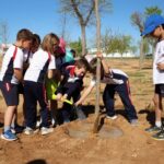 Escolares de Manzanares celebran el Día del Árbol con la plantación de ejemplares
