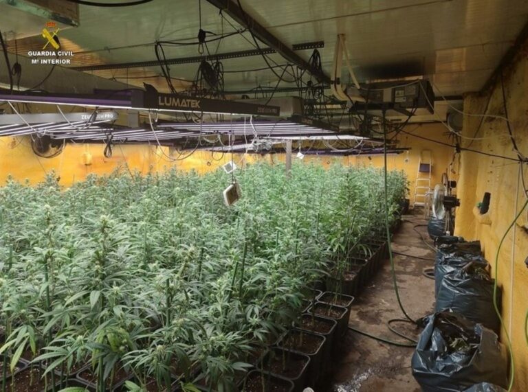 Detenidos tras desarticular dos puntos de cultivo ‘indoor’ de marihuana en Ciudad Real y Madrid
