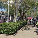 El Ayuntamiento de Manzanares abre el plazo para la concesión de puestos vacantes en el mercadillo