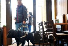 El perro guía de la ONCE en Toledo reclama su derecho a acceder a establecimientos de restauración