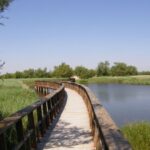 Regantes insisten en que «es el momento» de trasvasar 20 hm3 para encharcar Las Tablas de Daimiel