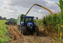 Unión de Uniones denuncia que PSOE y PP han pactado un Estatuto que «traiciona al campo»