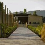 A subasta un complejo rural en Malagón por un precio inicial de 50.000 euros