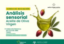 Aula Virgen Extra lanza una nueva edición del curso de iniciación al Análisis Sensorial de Aceite de Oliva Virgen