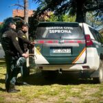 Investigado en Cuenca por guardar 15 trofeos de caza mayor en un arcón frigorífico