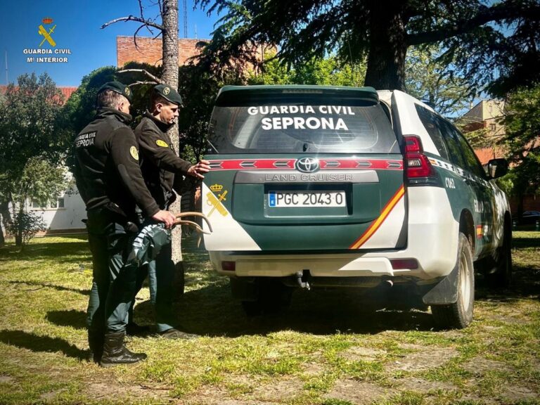 Investigado en Cuenca por guardar 15 trofeos de caza mayor en un arcón frigorífico