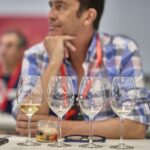 FENAVIN albergará dos jornadas técnicas centradas en la excelencia y singularidad de los Vinos de Pago