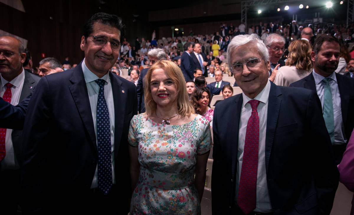 Todas las fotos y vídeo del Día de Castilla-La Mancha