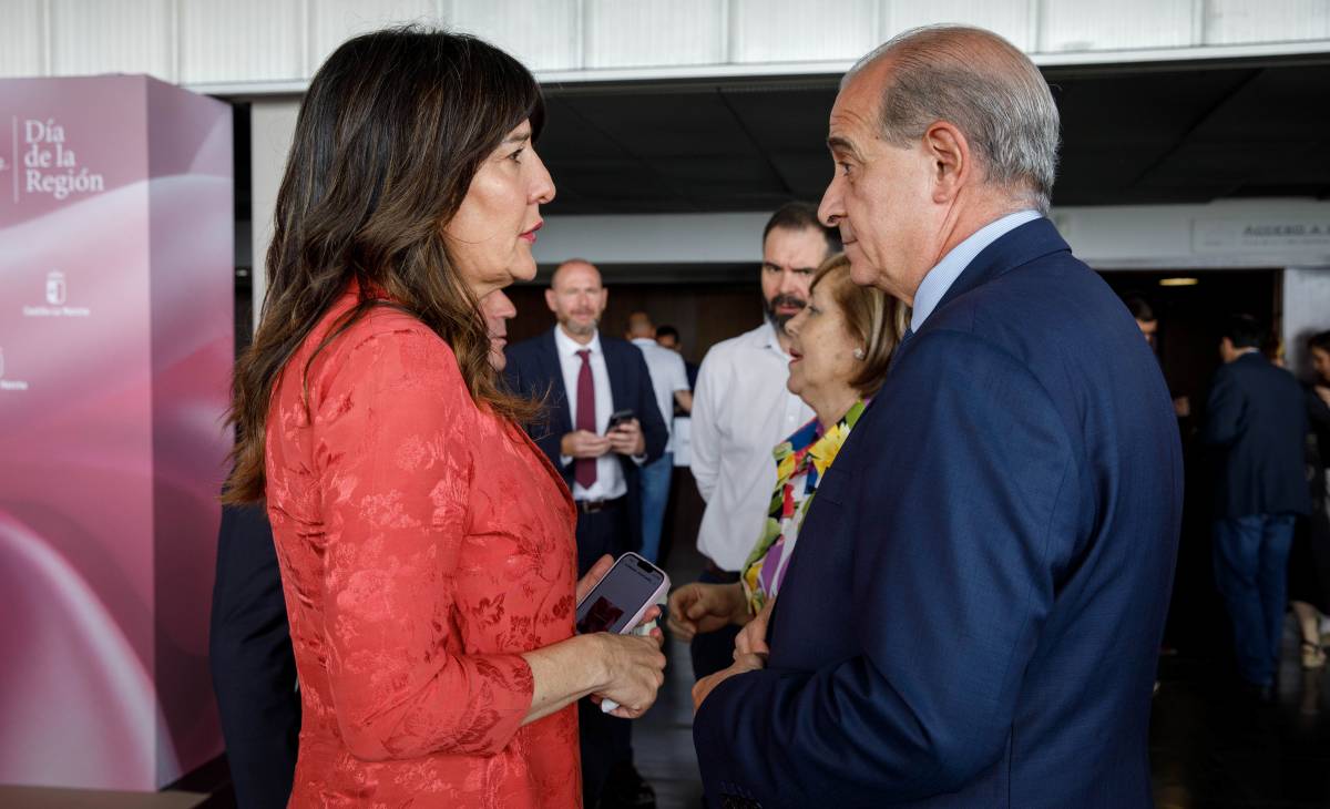 Todas las fotos y vídeo del Día de Castilla-La Mancha