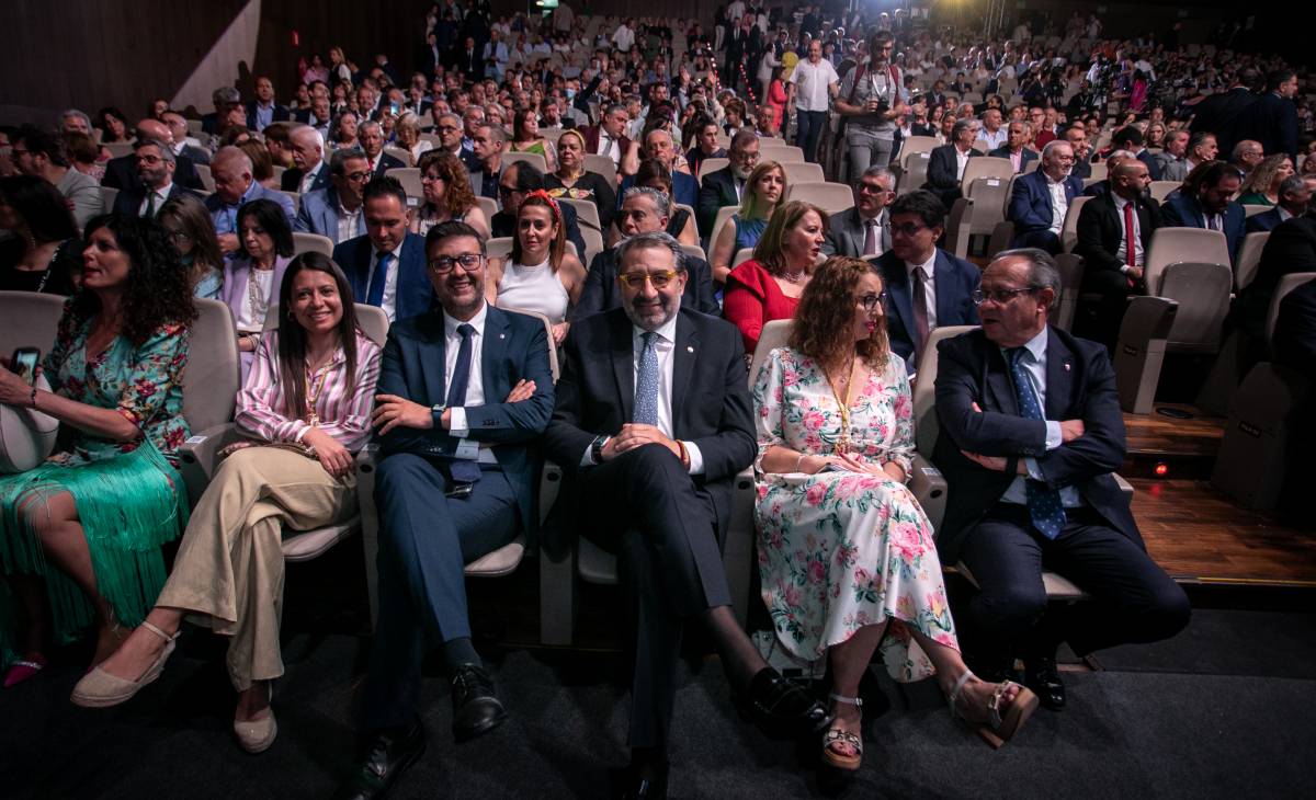 Todas las fotos y vídeo del Día de Castilla-La Mancha