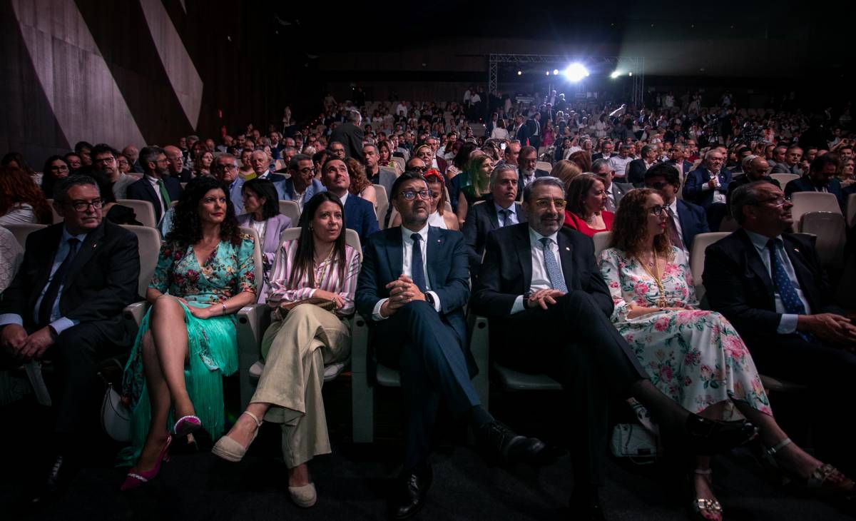 Todas las fotos y vídeo del Día de Castilla-La Mancha