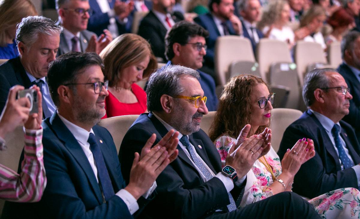Todas las fotos y vídeo del Día de Castilla-La Mancha