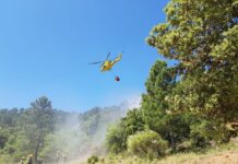 Interior adelanta al 1 de junio el inicio de la campaña estatal estival contra los incendios forestales