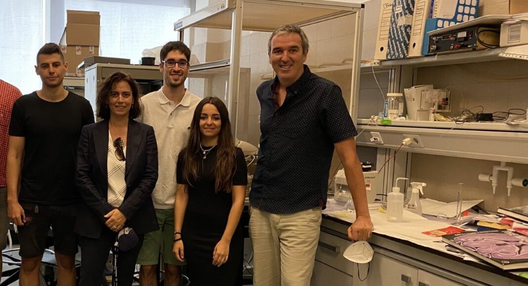 Investigación alzheimer uclm