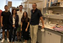 Investigadores de la UCLM identifican un nuevo mecanismo para revertir déficits de memoria en fases tempranas de la enfermedad de Alzheimer