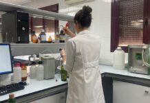 C-LM convoca 5 millones de euros para impulsar el empleo de jóvenes en proyectos de I+D+i