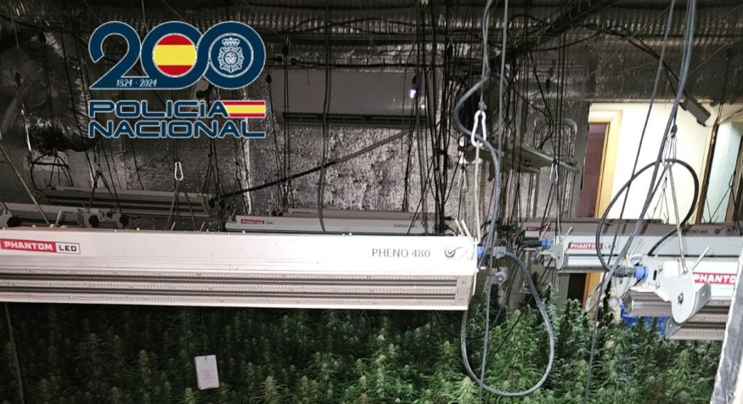 Marihuana en Talavera de la Reina