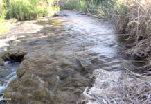 Ni el Tajo ni el Júcar: el río más largo que «nace y muere» en C-LM empieza su recorrido en Cuenca