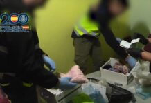 Liberadas 18 mujeres de una red de trata desarticulada con 11 detenidos en Murcia y Albacete