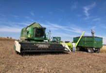 Europa acuerda simplificar las condiciones para acceder a las ayudas de la PAC