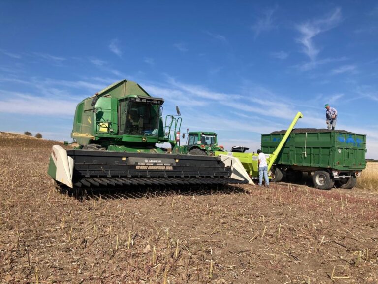 Agricultores y ganaderos de C-LM piden facilitar la contratación legal de inmigrantes y más medios contra los robos