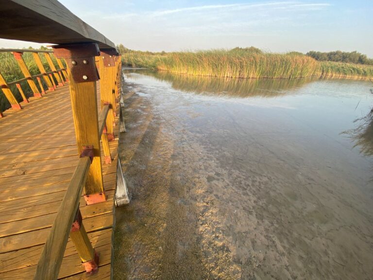 Piden al Gobierno de España medidas para salvar las Tablas de Daimiel