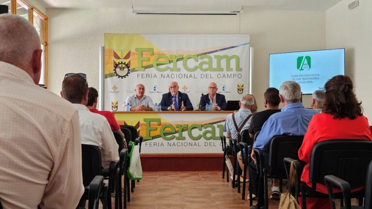 El futuro del olivar pasa por la reconversión que permita la mecanización