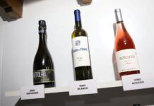 La Feria Nacional del Campo elige los mejores vinos de Castilla-La Mancha