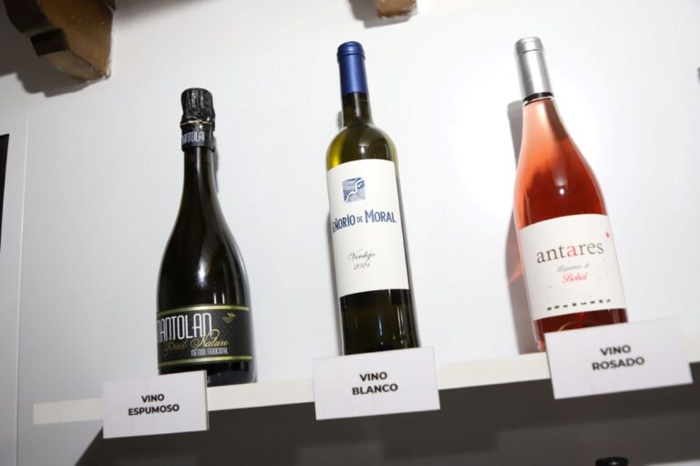 La Feria Nacional del Campo elige los mejores vinos de Castilla-La Mancha