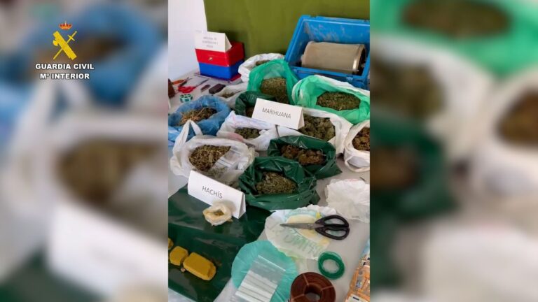 Un fuerte olor en Villarrubia de los Ojos terminó con seis detenidos por cultivo y tráfico de drogas