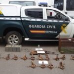 Un investigado y varias denuncias por el uso de venenos en entornos naturales de Ciudad Real